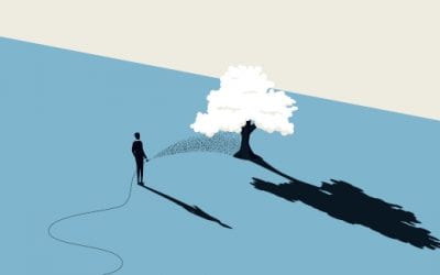 Faith in What We’ve Planted